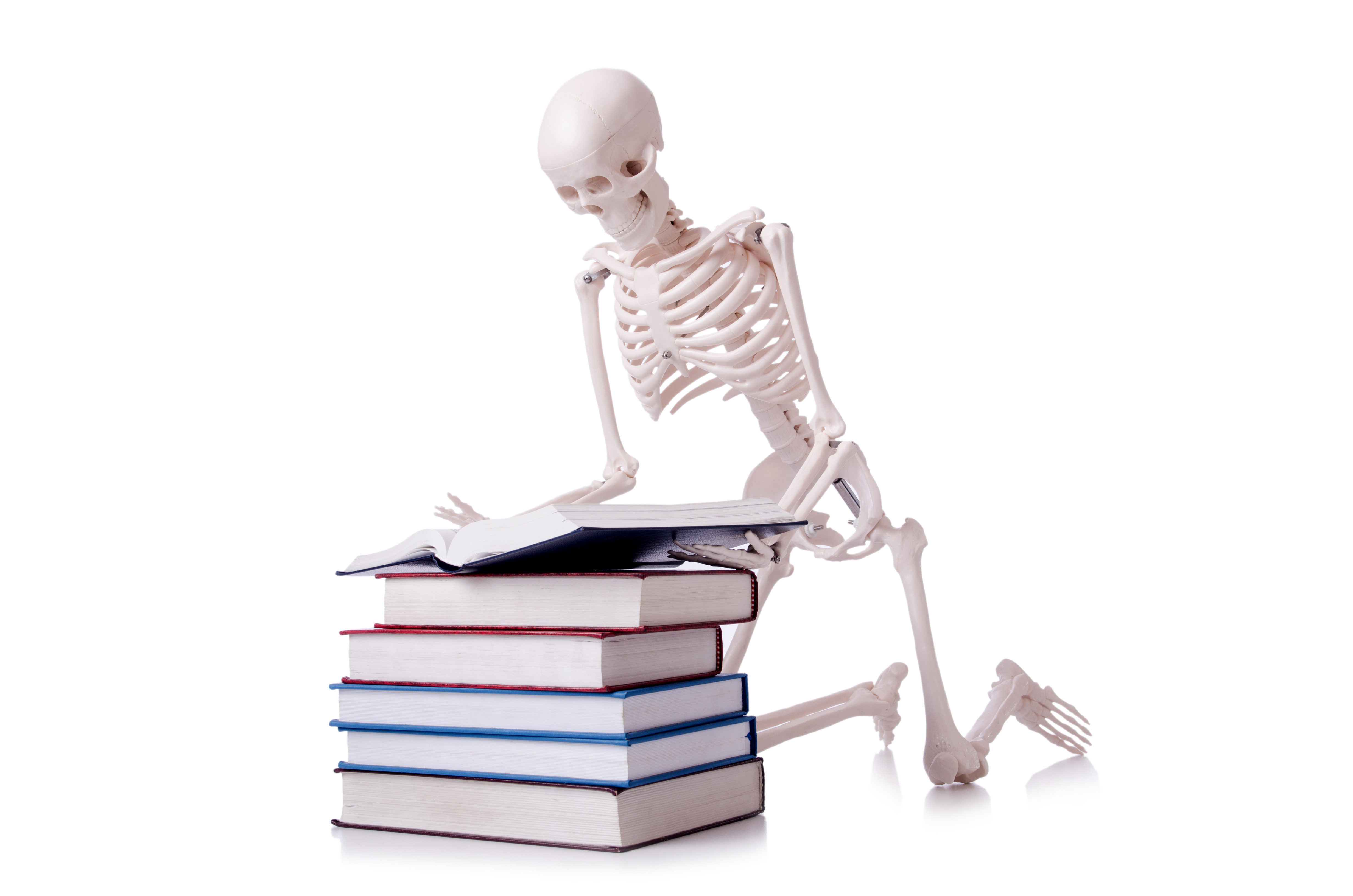 Når skeletterne falder ud af skabet 16. november kl. 19:00