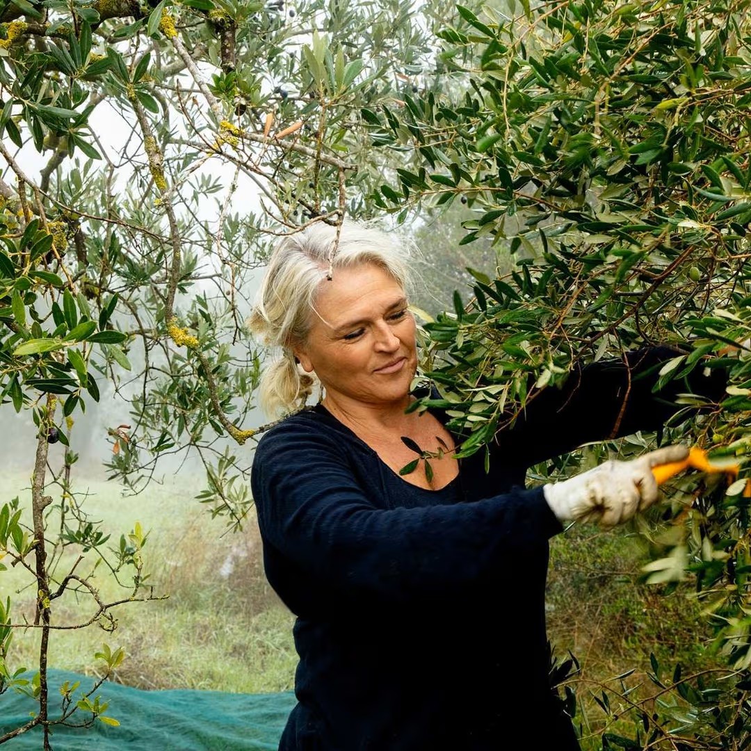 Olivenolie - Foredrag med smagning 19. marts kl. 19:00