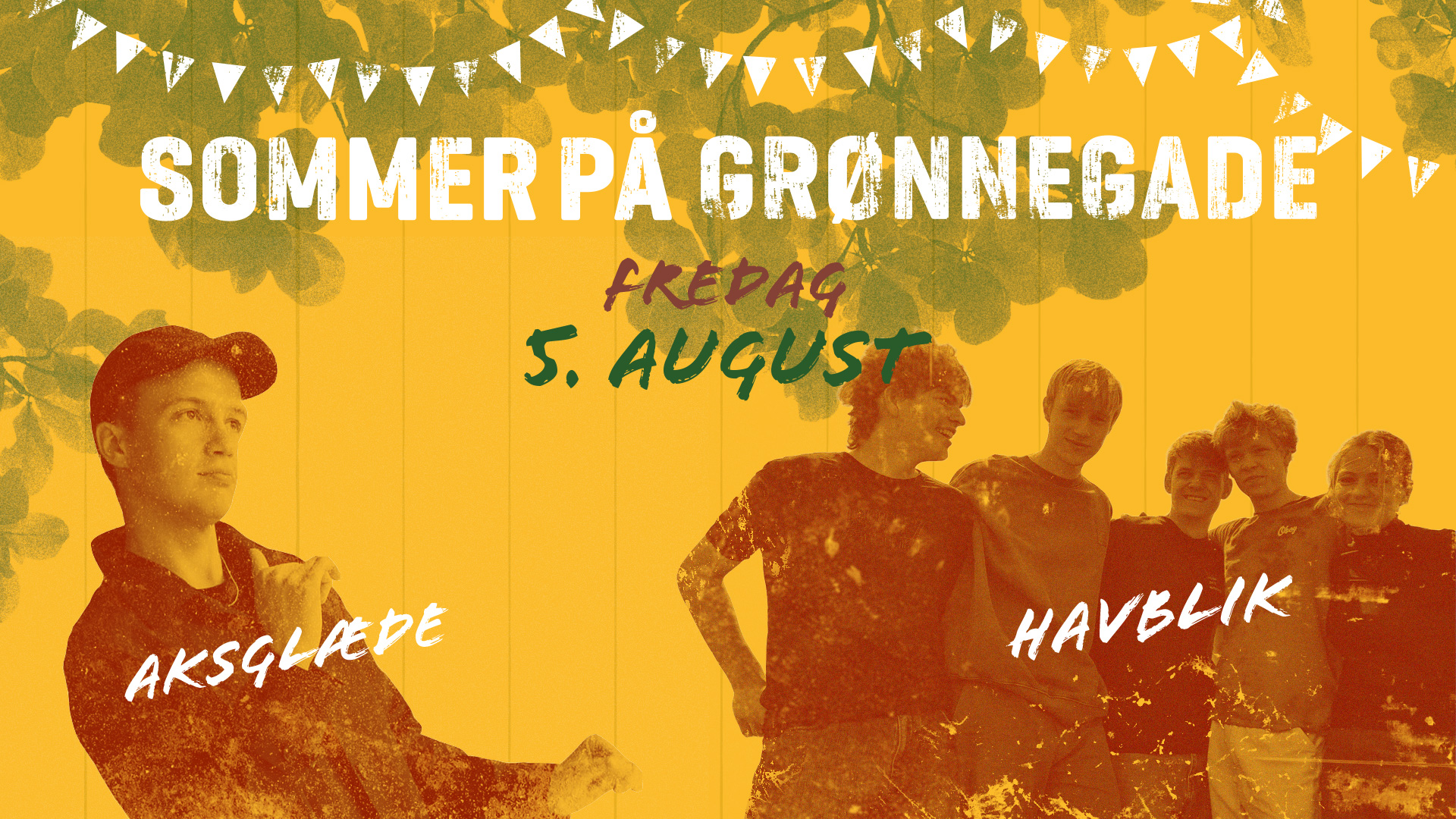 HAVBLIK – AKSGLÆDE - SOMMER PÅ GRØNNEGADE 05. august kl. 18:00