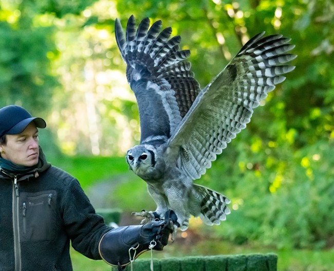 Mark Emil fra BIRDNERD 22. marts kl. 15:00